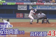 【悲報】安田尚憲.114(35-4) 1本2打点12三振←これ