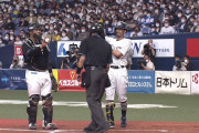 球審白井「デッドボール！」　宗「当たってないっす」