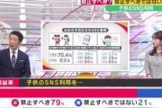 【悲報】オールドメディア「SNSは禁止すべき？」→79%が禁止に賛成ｗｗｗｗ