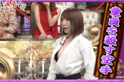 【画像あり】清水あいりさん、童貞を殺す空手でタイガーマスクを秒殺するｗｗｗｗ