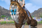 【掲示板】猫マウントで次に実装してほしい猫種を挙げていくスレ【FF14】