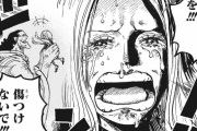 【ネタバレ注意】ワンピース 1063話「たった1人の家族」【ジャンプ46号2ch感想まとめ】