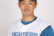 日本ハムファイターズで1番クリーンそうな選手