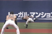 日ハム渡邉諒の守備見てよ