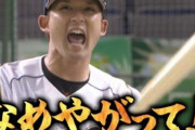 【え？】プロ野球選手さん、アウトかセーフかを審判じゃなく本人たちで○○して決めようとしてしまう・・・
