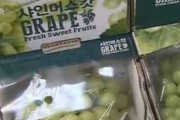 韓国「日本産より低価格、シャインマスカットも韓流が人気。輸出量前年比２割増加」