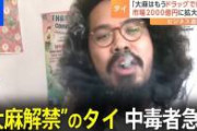 【大麻合法化】タイ、ようやく気づく。「すまん、やっぱ大麻合法とかイカれてたわ　てことで全面禁止な」