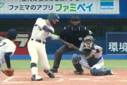 西武ドラ１小島大河が誕生日に4安打！明治大が29年ぶり全勝V