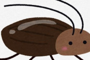 ゴキブリさん「頭が潰れても死にません。危機察知能力最強。何度も大絶滅の時代を乗り越えてきた。」 ← こんなすごい生き物なのになぜ人間に嫌われるのか？