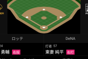 画像　二軍のロッテ対DeNAの試合で兄弟喧嘩…？