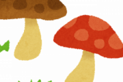 【ヒィッ】人伝てに天然のキノコ貰ったけど怖くて食えねぇ。そもそも赤いきのこってほぼ毒じゃない？