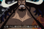 【ONEPIECE -ワンピース】結局カイドウってどうやって倒すんだよｗｗｗｗｗ