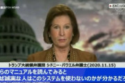 このソフトウェアを購入すると州政府関係者の家族に大量の資金が提供されていることを発見した。トランプ弁護団シドニー・パウエル弁護士