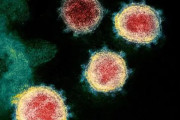 【またか❗】新型コロナの新変異株、免疫回避の恐れ 南アで発見