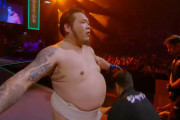 【動画】元大相撲力士さん、MMAでプロボクサーを破壊ｗｗｗｗｗｗｗｗｗｗｗｗ