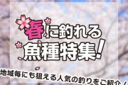 【旬の旨魚】3月に岸から釣れる美味い魚5選！