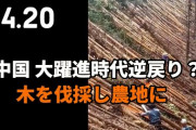 インドに人口1位奪われて経済が衰退するって？　憤る中国［4/23］