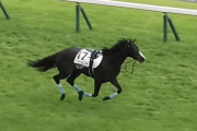 ダービー落馬のドゥラエレーデ宝塚記念へ