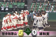 【センバツ】浦和実業、準決勝で敗退