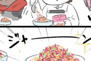 【FGO】アイスを食べるときにプチ贅沢をするぐだ男！！　このカラフルなチョコ美味しいよねw