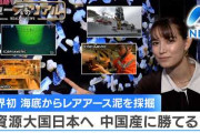 日米の試みるレアアースのサプライチェーン再編に「声をかけてもらえない韓国」……そりゃまあ、中国が怖いんでしょ？