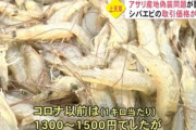 熊本県漁協「アサリ以外も取引価格が軒並み下落して、商売が成り立たなくなった」