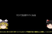 【画像】ゆっくり実況者、逝く「仕事も辞めたのに生活できない」