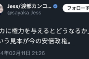 自民党の参院選候補者・渡部カンコロンゴ清花「バカに権力を与えるとどうなるかという見本が今の安倍政権」炎上して鍵垢に