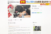 既に死んだ愛犬を『生きているように装い』…クラファンで治療費を募集　詐欺未遂容疑で26歳の女逮捕