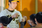 阪神　青柳晃洋が開幕投手最有力も　岡田監督「違うボール投げてる」WBC出場せずが条件