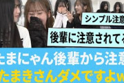 石塚瑶季さん後輩の鶴崎仁香さんに注意される「たまきさん、だめですよww」【日向坂46】【ひなあい】