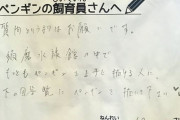 【画像】彡(^)(^)「ペンギンの飼育員さんへ！」