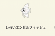 【ポケ森】今回の釣り大会のサカナ、釣り上げた時の死骸感が…【どうぶつの森 まとめ】