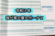 夏ボーナス30万円ってどうなの？