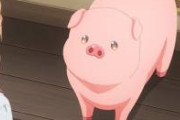 【画像】松岡くん、うっかり豚に転生してしまう