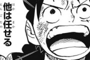 【ワンピース】989話感想　潜入していた麦わら一味が全員集合！これは負ける気がしない