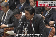 安倍総理「家柄S政治力A思想A人柄A体力C統率力B滑舌C」←こいつが天下取れた理由
