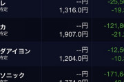 株の損益みたら170万円損してたw