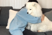 飼い犬に無言でずっとハグしてみたらどんな反応をする？　海外の反応