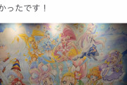 【悲報】50歳のオッサン、一人でプリキュアの映画観に行きTwitterで報告・・・・