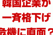 韓国企業19社が一斉格下げ危機！？　S&Pとムーディーズの両方から警告される？もう韓国経済はパニック状態？