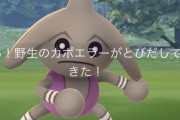 【ポケモンGO】よくある勘違い？通常の「野生の色違いポケモン」は逃げる？逃げない？
