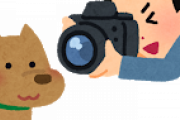 うちの犬撮ったから見てくれ