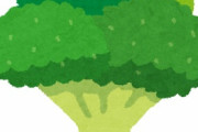 どれが「ナイスブロッコリー」か分かる？　農家が説明する「良いブロッコリーの見分け方」