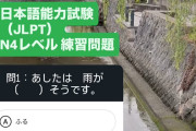 【画像】日本語能力試験、日本人にも解けないレベルの難しさだと話題に