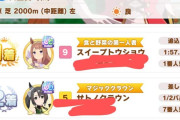 【ウマ娘】ドンナはどうするのが正解なんだろ・・・？