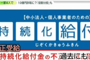 日本「給付金の不正申請した人、罪に問わないから名乗り出なさい」→2万件超の返金申し出　もう終わりだよこの国
