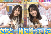 【日向坂46】『どうぶつピース！！』が完全に『ひなあい』に！若林さんから早速洗礼を受けるｗｗ