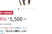 【プリコネ】Amazonプライムセールでキャルのフィギュアが-44%OFFｗｗｗｗ
