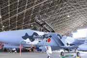 空自アグレッサー部隊、白と黒色を基調した新塗装のF-15戦闘機を公開！